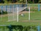 Large open grassy soccer field with a white goal and a clearly defined green pitch