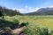 Large open meadow along the Upper Brooks Lake trail in Wyoming, Shoshone National Forest