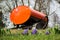 A large orange barrel of water stands on a multi-tiered flower hill in Gatchina Park for watering hyacinths and daffodils