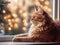 Large orange cat is sitting on window ledge, looking out at Christmas tree. The cat\\\'s eyes are wide open and it appears