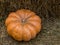 Large orange pumpkin mature ribbed symbol of autumn on a straw background