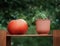 A large orange pumpkin sits next to a terracotta plastic geranium flower pot on a wooden shelf under an open sky in the park