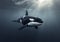 Large orca killer whale predator swimming in ocean.Macro.AI Generative