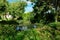 Large, ornate pond seen within a large garden. The background shows part of an outbuilding used as a private office.