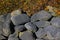 Large oval stones under a bush