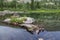 A large overgrown rock in the middle of a mountain lake