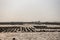Large oyster beds during low tide and sloop in Ban Bai Bua, Thailand