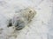 A large package of garbage lies right on the road against the backdrop of snow in winter