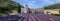 Large panoramic view of lavender field at ancient monastery Abbey of Senanque