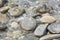 Large pebble on the seashore, close-up