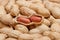 Large peeled peanuts close-up of beans in the shell. Unpeeled peanuts in the shell. Peanuts, for background or texture. Growing