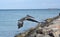 Large pelican preparing to land on a jetty in aruba