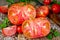 Large perfect cut tomato close-up
