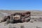 Large Petrified Log in the Petrified Forest