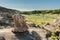 Large Petrified Stump Overlooks Valley