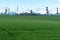 A large petrochemical enterprise on the background of a wheat field. Next to the agricultural field there\\\'s a factory