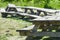 Large picnic table and bench in a sunny public park