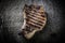 Large piece of fresh pork meat on a bone prepared on a grill pan on old wooden table for background. Toned
