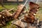 Large pieces of beef rib. Typical BBQ campfire using skewers