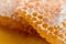 Large pieces of natural honeycombs are in a puddle of fresh honey.