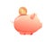 Large piggy bank with a coin on an isolated background side view. Metaphor of increasing investment, capital accumulation.
