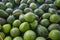 Large pile of Avacados at an outdoor market