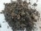 Large pile of black hair from owl pellet