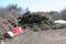 Large pile of branches and twigs to become wood chips