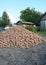A large pile of digged up potatoes in the vegetable garden in the country is a symbol of high potato harvest, yield households