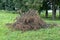 Large pile of dry branches on street. Close up of heap of rubbish from dried logs on ground.