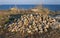 A large pile of empty Rapana venosa shells on the shore in the Crimea