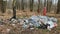 A large pile of garbage in the forest. Ecological problem of environmental pollution.