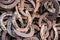 Large pile of rusty used Horseshoes