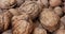 Large pile of walnuts