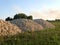 Large piles of gravel stones to build the road. Dumped by a dump truck on the green grass. Summer day