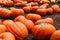 Large Piles Scattering of Orange Pumpkins