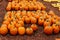 Large Piles Scattering of Orange Pumpkins