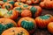 Large Piles Scattering of Orange Pumpkins