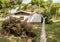 large pine tree falls on a roof of a small private house. Storm and natural disaster concept