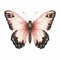 Large Pink Butterfly Illustration On White Background