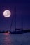 Large Pink Full Moon rises above a harbor in the Great Lakes.