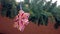 Large pink snowflake with colorful sequins hanging on garland decorating house
