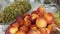 Large plates of peaches and grapes on the table.