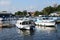 Large pleasure Boats on River Yare centre for tourism on Norfolk Broads