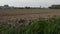 Large plowed field in Switzerland. Newly plowed and planted field. In the video you can rasmotret village in the background and a