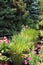 A Large Pond Filled With Grasses and Flowering Plants Edged with Pink Zinnias and Evergreen Trees