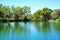 Large pond in natural Australian bush setting.