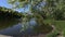 A large pond in the park. The branch of the sweet cherry blossoms above the water is close-up. Excellent calm background