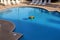 Large pool lined with lounge chairs in early morning sun, Beach Club Resort, Gulf Shores, Alabama, 2018