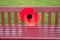 A large poppy has been placed on the bench in commemoration for the ending of the Great War